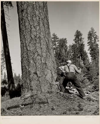 .2 is a duplicate image of .1; .1 is mounted to paperboard support; .2 is unmounted