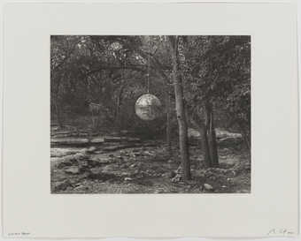 An image of mirrored discoball hanging in a forest.
