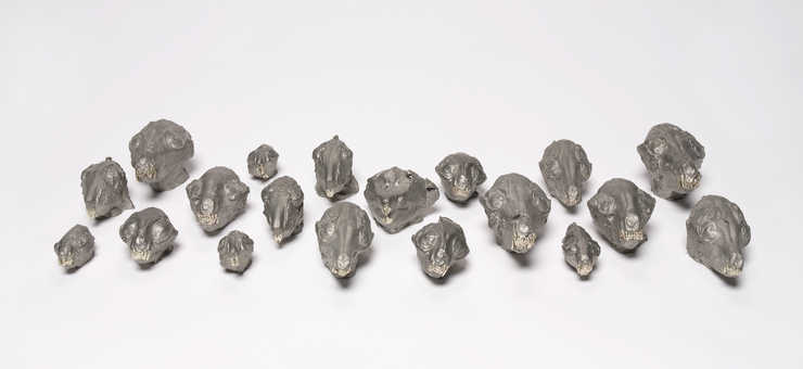 Cast skulls of small animals with gold leaf applied to the teeth.
