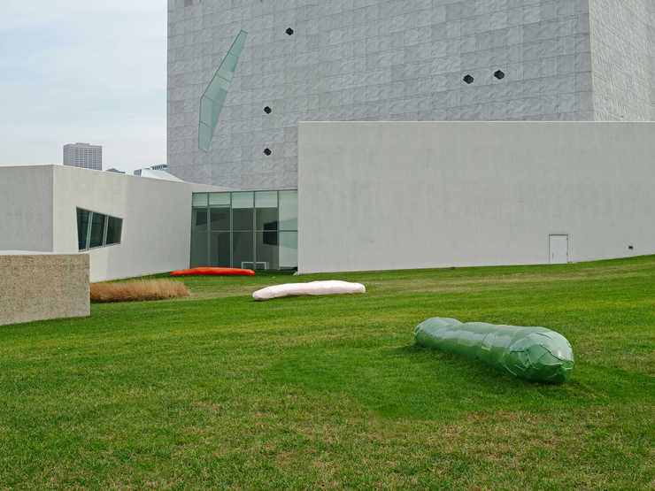 A large bright green pickle-like form.