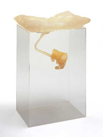 resin pillow rests on top of a clear vitrine; a long stem extends below pilliow and connects to a...
