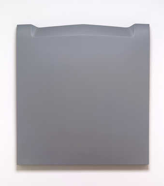 matte gray automobile hood (hood DC 104)