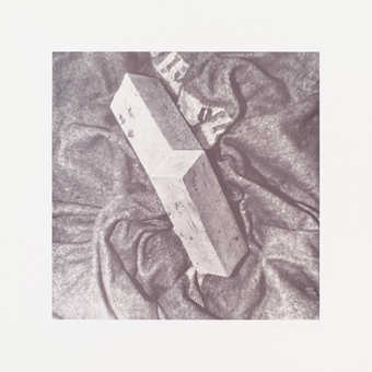 from a portfolio of 9 photolithographs with cover sheet and portfolio folder