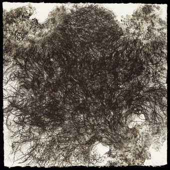 An image of the top and sides of the artists head and hair.