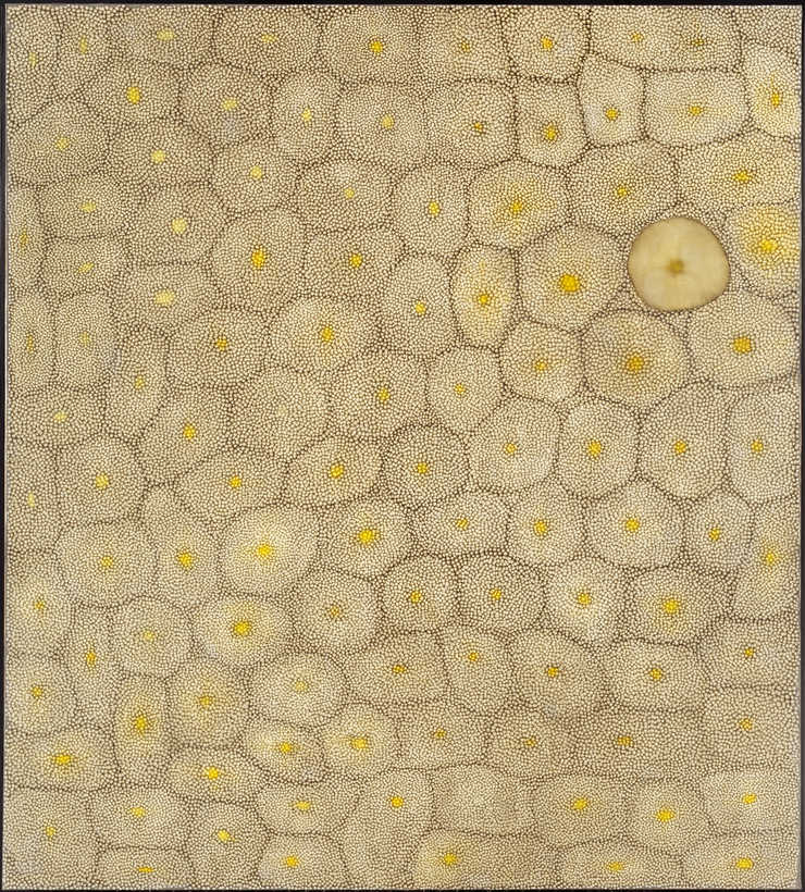 An all-over design painting, that resembles cellular structure .