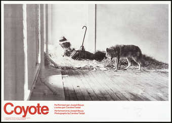Photographs and text by Caroline Tisdall, documenting the action "Coyote" in the René...