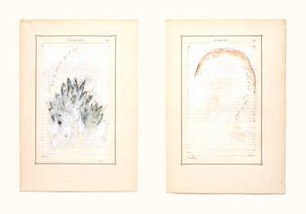 abstract forms over pages from a book