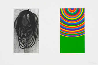 A series of prints each containing a photogravure image and an a linocut abstraction of the image.