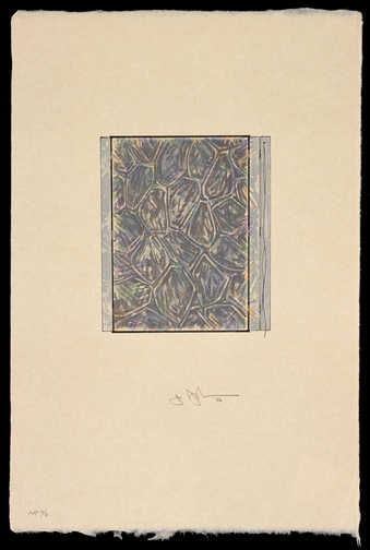 A patterned print with similarities to Cicada  and a profile image of a catenary painting, over...