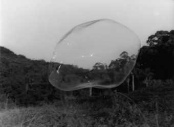 An image of a bubble in a landscape